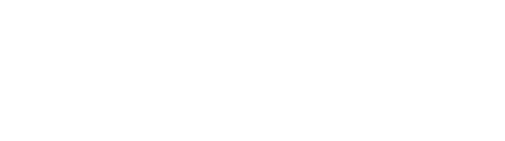 SWAN WEDDING